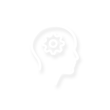 经验与专业知识